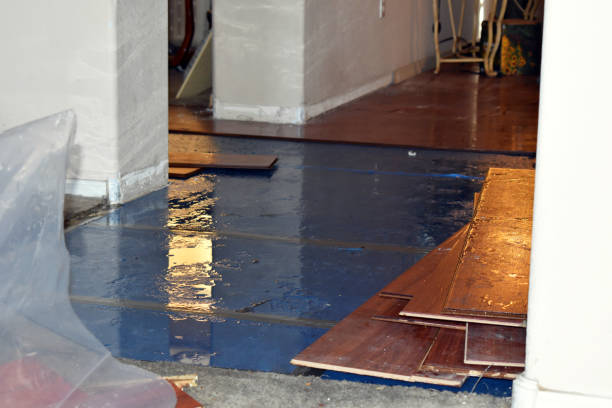 Professional Crawl Space Water Removal technician working in Newton Lower Falls, MA